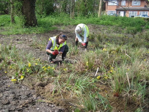 Planting SuDS components