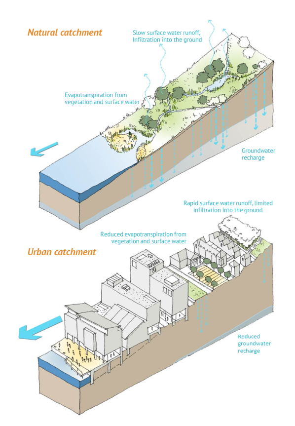 Sustainable Drainage